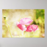 Inspired Pink Poppies Print