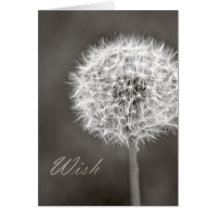 Inspired Wish Dandelion Cards