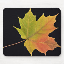 Inspiring Sugar maple leaf Mouse Pads
