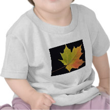 Inspiring Sugar maple leaf T Shirts