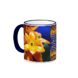 Inspiritation mugs