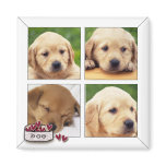 Photo Template