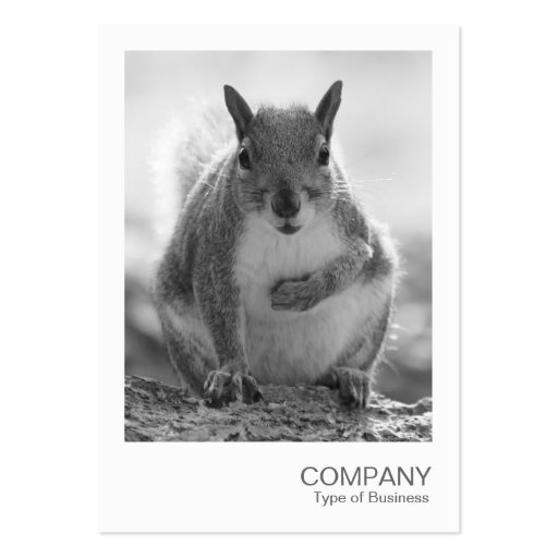 Instant Photo 045 - Grey Squirrel BW Business Card Template (front side)