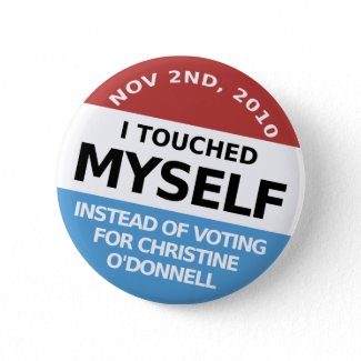 ...Instead Of Voting For Christine O'Donnell button