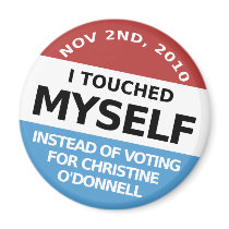 ...Instead Of Voting For Christine O'Donnell Magnet