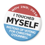 ...Instead Of Voting For Christine O'Donnell magnets