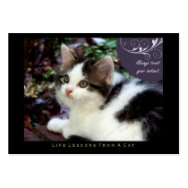 Instinct Life Lessons From a Cat ACEO Art Cards Business Card Templates