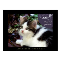 Instinct Life Lessons From a Cat Fine Art Print