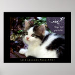 Instinct Life Lessons From a Cat Fine Art Print