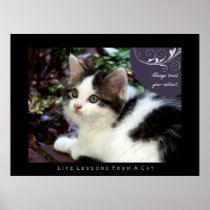 Instinct Life Lessons From a Cat Fine Art Print