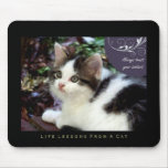 Instinct Life Lessons From a Cat Mousepad
