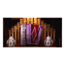 Instrument - Accordian - The accordian organ Photo Cards
