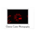 Instrument Panel posters by ccphoto Instrument Panel posters