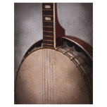 Instrument - String - A typical banjo Flyers