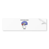 Insufficient Memory Inside (Anatomical Brain) Bumper Sticker