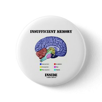 Insufficient Memory Inside (Anatomical Brain) button