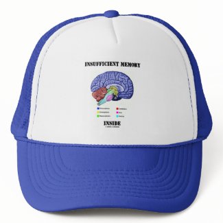 Insufficient Memory Inside (Anatomical Brain) hat
