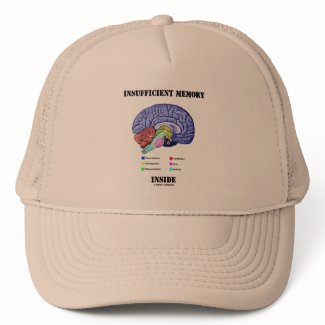 Insufficient Memory Inside (Anatomical Brain) hat