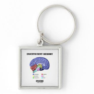 Insufficient Memory Inside (Anatomical Brain) keychain
