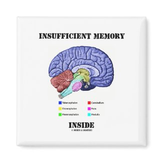 Insufficient Memory Inside (Anatomical Brain) magnet