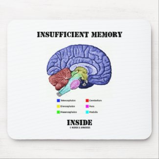 Insufficient Memory Inside (Anatomical Brain) mousepad