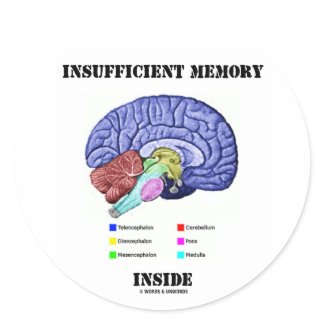 Insufficient Memory Inside (Anatomical Brain) sticker