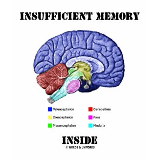 Insufficient Memory Inside (Anatomical Brain) shirt