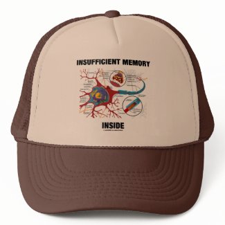 Insufficient Memory Inside (Neuron / Synapse) hat