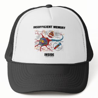 Insufficient Memory Inside (Neuron / Synapse) hat