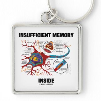 Insufficient Memory Inside (Neuron / Synapse) Keychain