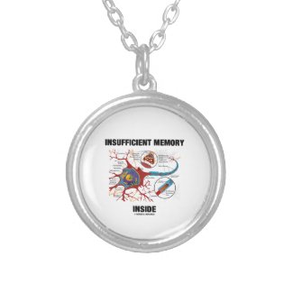 Insufficient Memory Inside (Neuron / Synapse) Pendants