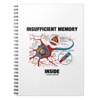 Insufficient Memory Inside (Neuron / Synapse) Notebook