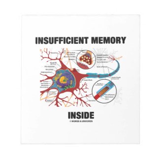 Insufficient Memory Inside (Neuron / Synapse) Scratch Pad