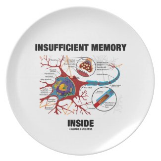 Insufficient Memory Inside (Neuron / Synapse) Dinner Plates