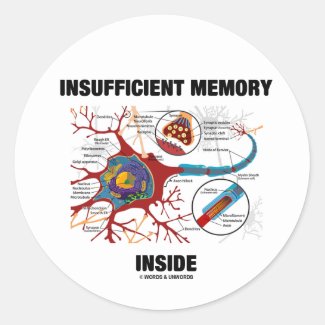 Insufficient Memory Inside (Neuron / Synapse) Sticker