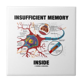 Insufficient Memory Inside (Neuron / Synapse) Tiles