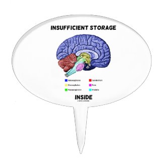 Insufficient Storage Inside (Brain Anatomy Humor) Cake Topper