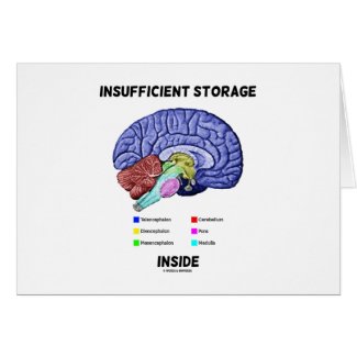 Insufficient Storage Inside (Brain Anatomy Humor) Cards