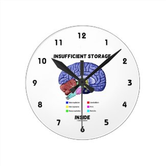 Insufficient Storage Inside (Brain Anatomy Humor) Round Clock