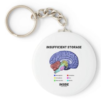 Insufficient Storage Inside (Brain Anatomy Humor) Key Chain