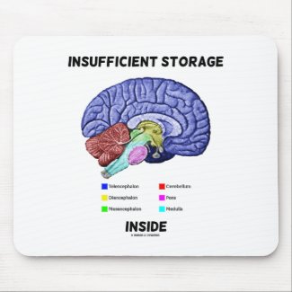 Insufficient Storage Inside (Brain Anatomy Humor) Mousepads