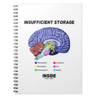 Insufficient Storage Inside (Brain Anatomy Humor) Notebooks