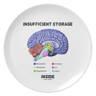 Insufficient Storage Inside (Brain Anatomy Humor) Party Plates