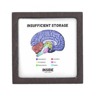 Insufficient Storage Inside (Brain Anatomy Humor) Premium Trinket Box