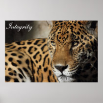 Integrity Print