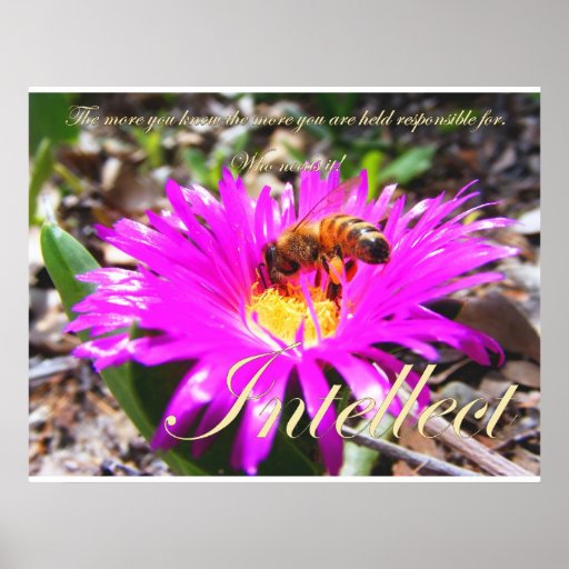 Intellect Posters