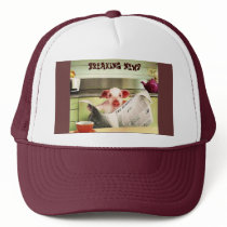 Intellectual Pig Hat