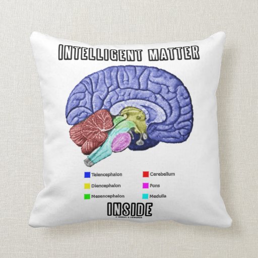 Intelligent Matter Inside (Anatomical Brain Humor) Pillows Zazzle