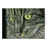 Intense - Cat Art Greeting Card