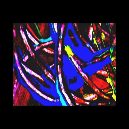 Intense Colors Collection 07 Canvas Prints